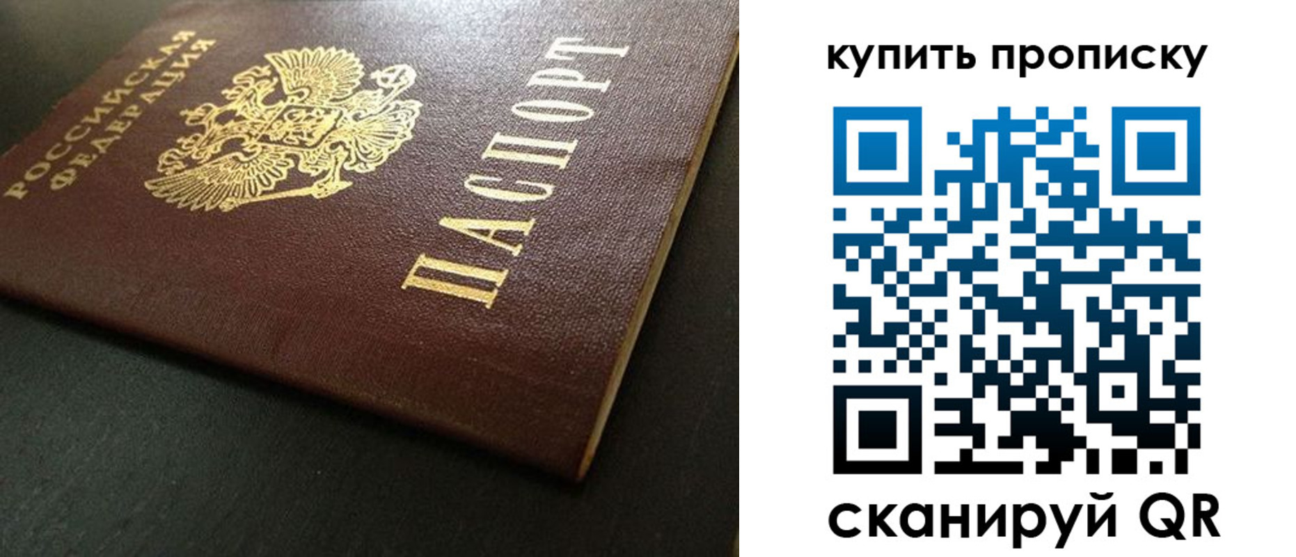 прописка законно в Королёве